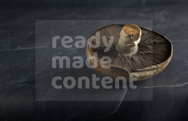 45 degre portobello mushrooms on a textured black slate background