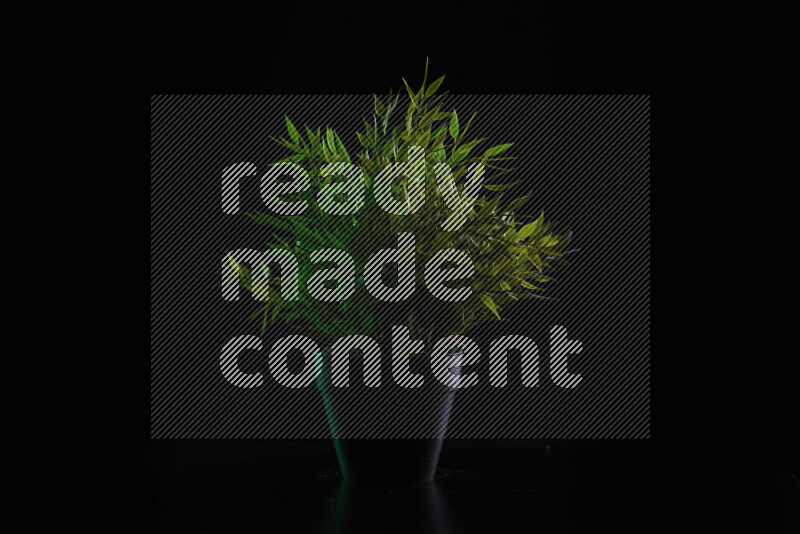 Plastic potted plant with colored rim light against black background