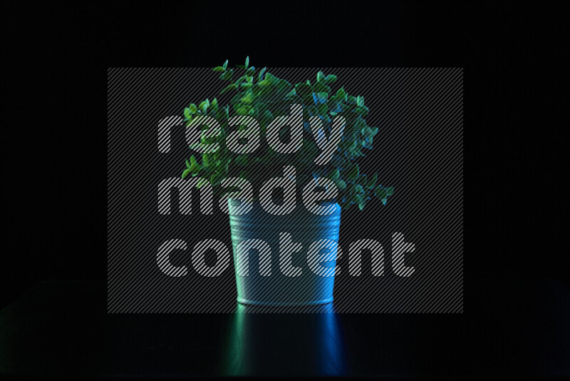 Plastic potted plant with colored rim light against black background