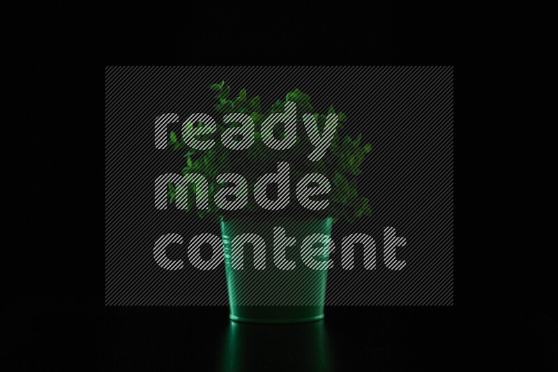 Plastic potted plant with colored rim light against black background