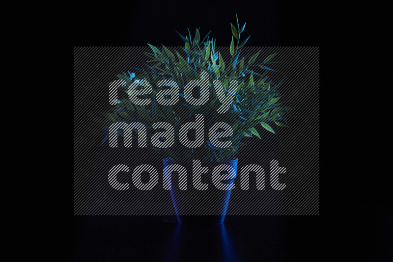 Plastic potted plant with colored rim light against black background