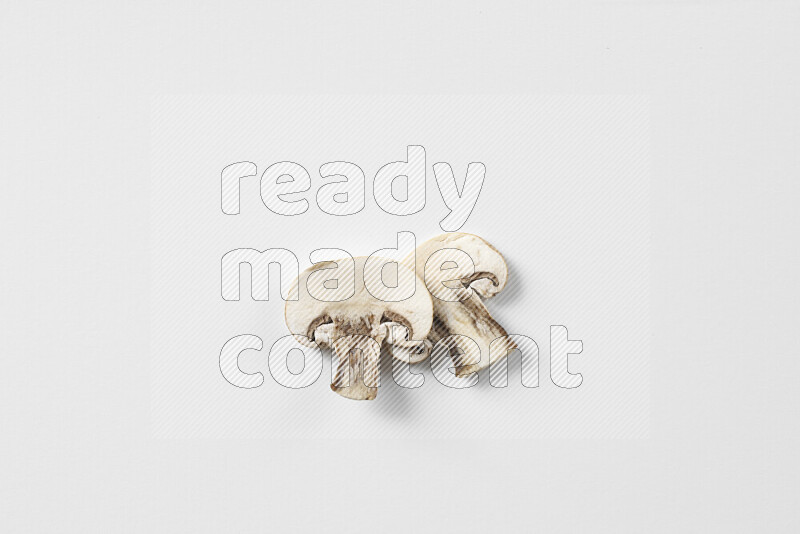 Mushrooms on white background