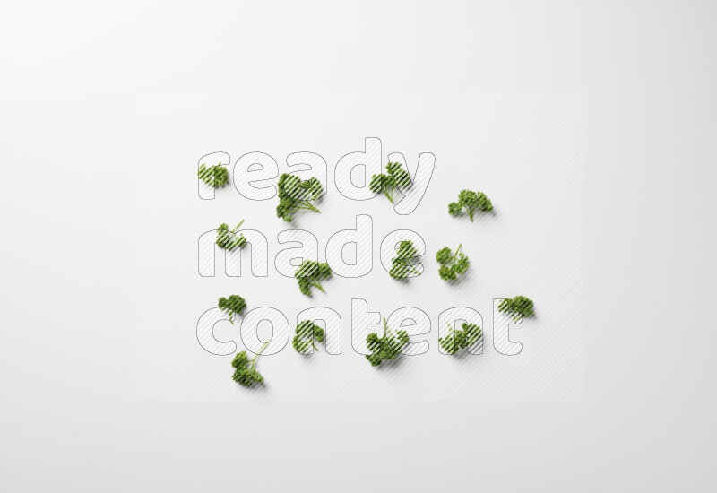 Scattered fresh curly parsley leaves on white background