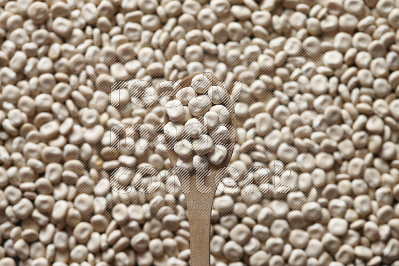A wooden spoon full of lupin beans on lupin beans background