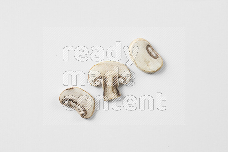 Mushrooms on white background