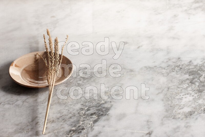 Wheat stalks on multicolored pottery plate on grey marble background