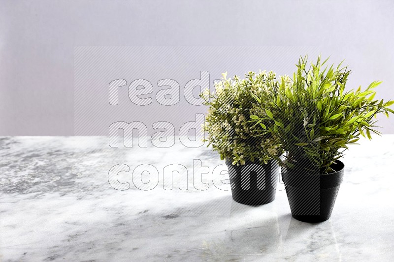 Two different Artificial Plants in black pot on Light Grey Marble Background 45 degree angle