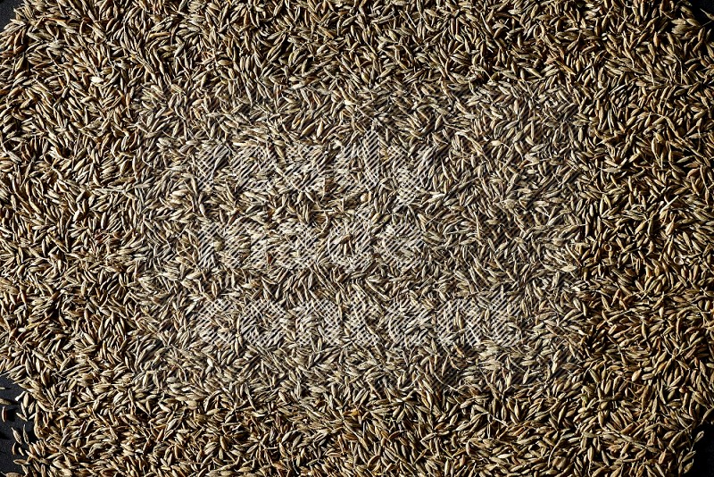 Cumin seeds on black flooring