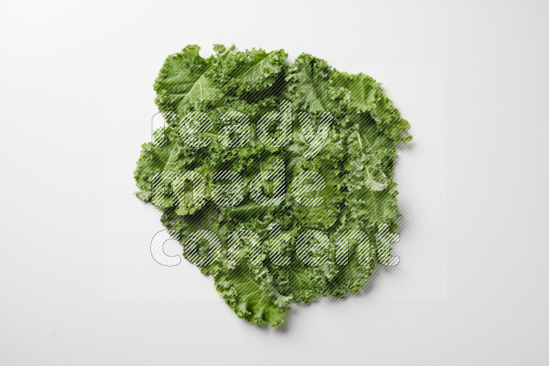 An array of kale leaves spread out on a white background