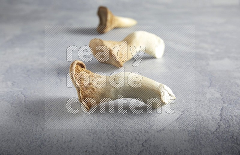 45 degre king oysters mushrooms on a textured light blue  background