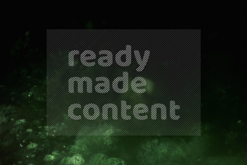 Green glitter powder isolated on black background