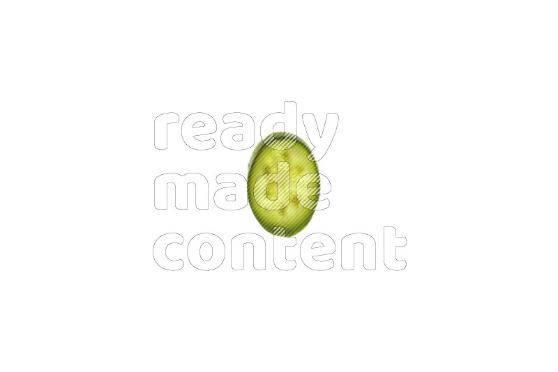 Zucchini slices on illuminated white background
