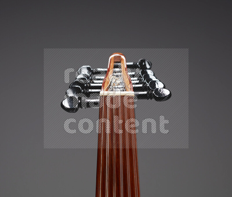 parts of a brown wooden Oud in a gray background