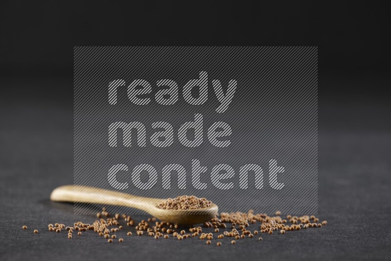 ملعقة خشبية ممتلئة ببذور الخردل علي خلفية سوداء