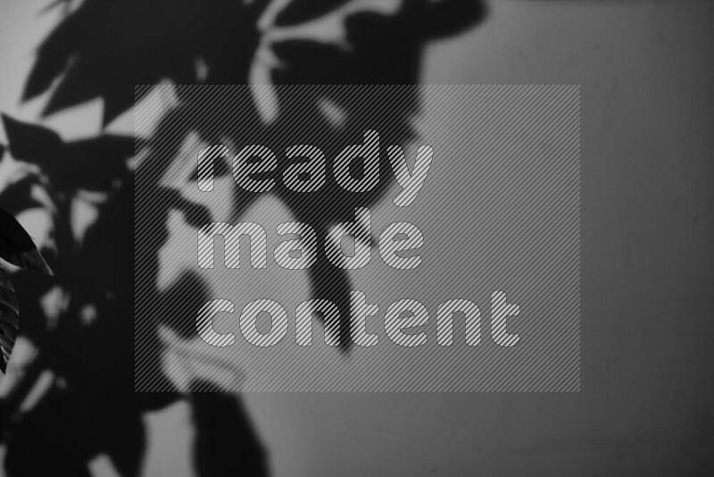 يظهر ضوء غوبو خافت ظلال أوراق نبات تسقط على سطح ناعم