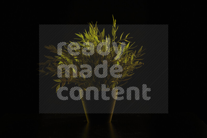 Plastic potted plant with colored rim light against black background