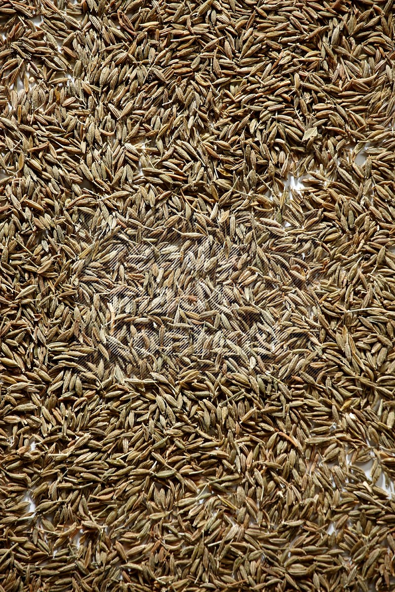 Cumin seeds on white flooring