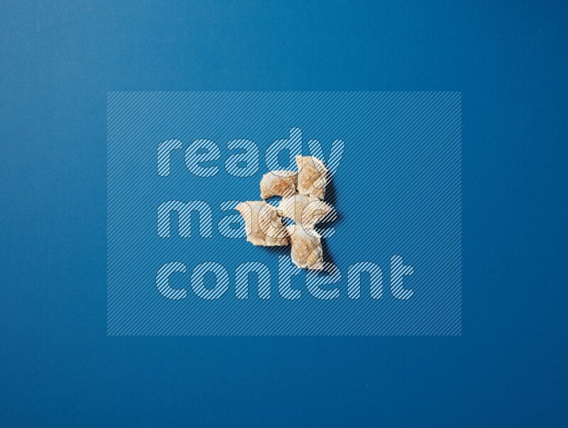 top view shot of seashells arrangement on blue background