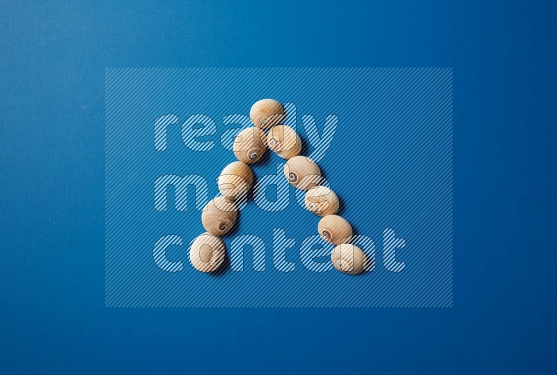 top view shot of seashells arrangement on blue background