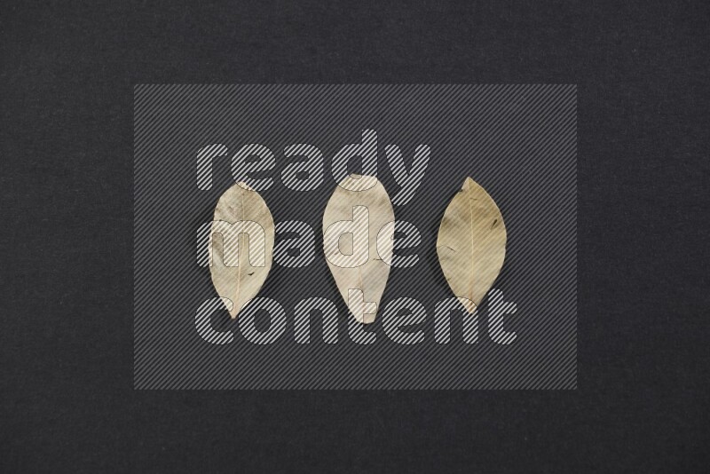 Dried bay leaves on black flooring