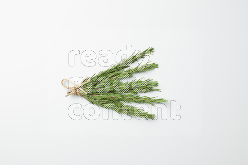 Multi fresh rosemary sprigs on white background