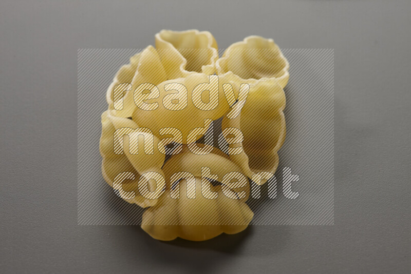 معكرونة قواقع علي خلفية رمادية