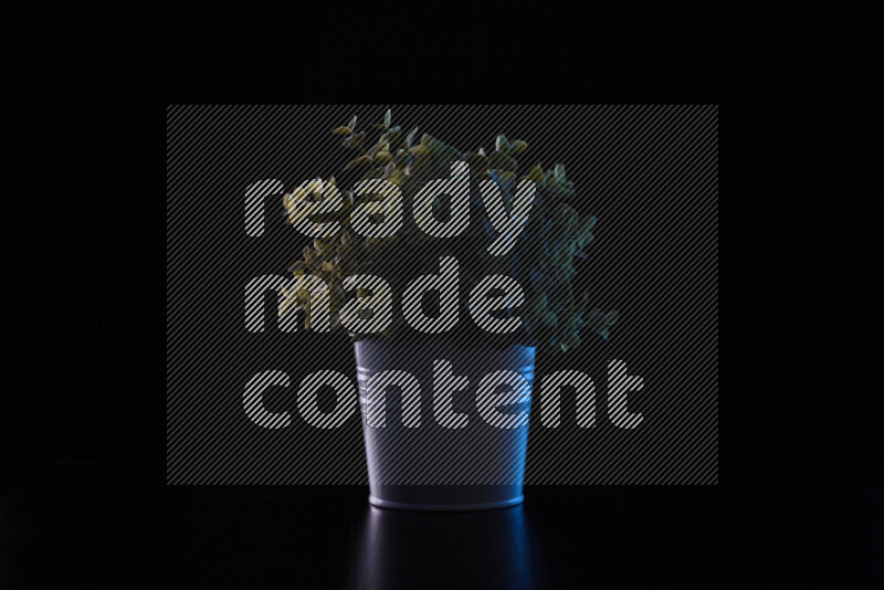 Plastic potted plant with colored rim light against black background