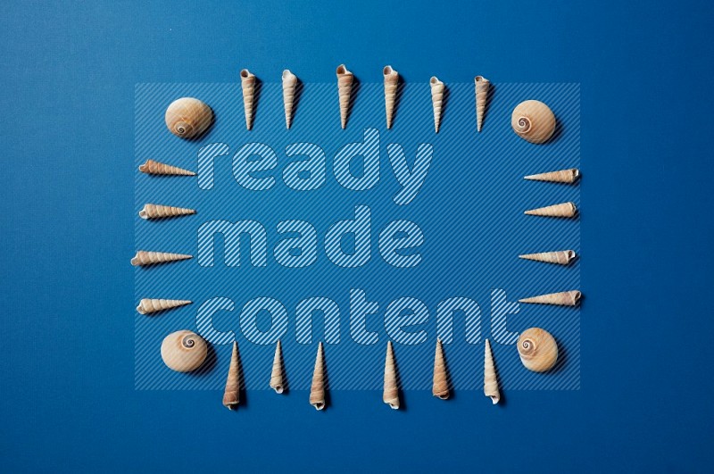 top view shot of seashells arrangement on blue background