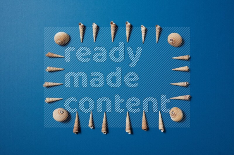 top view shot of seashells arrangement on blue background