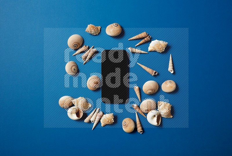 top view shot of phone with seashells on blue background