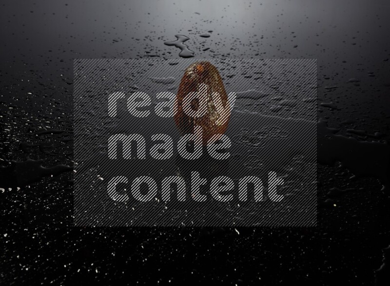 A whole avocado on black background with water drops.