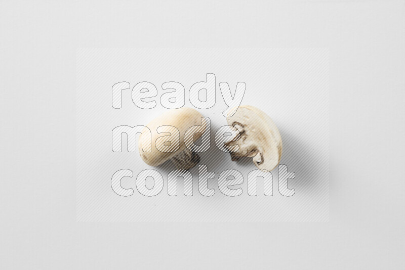 مشروم علي خلفية بيضاء