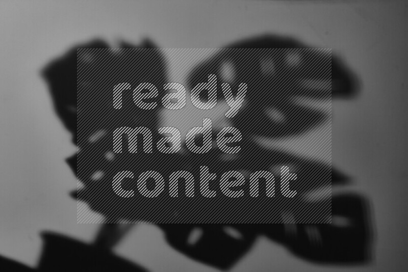 يظهر ضوء غوبو خافت ظلال أوراق نبات تسقط على سطح ناعم