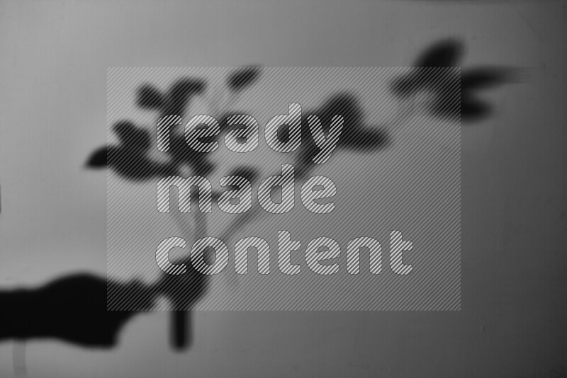 يظهر ضوء غوبو خافت ظلال أوراق نبات تسقط على سطح ناعم