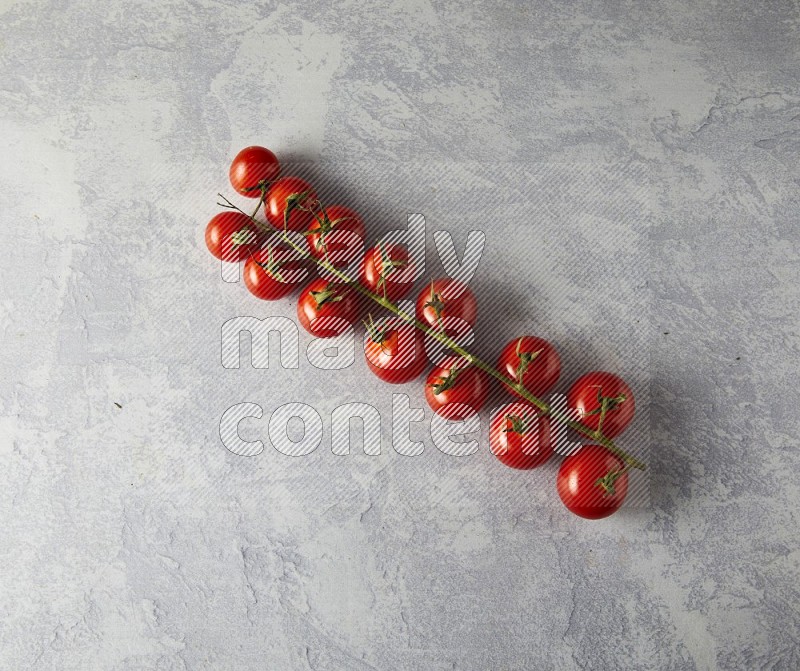 Single cherry Tomato vein topview on a light blue background