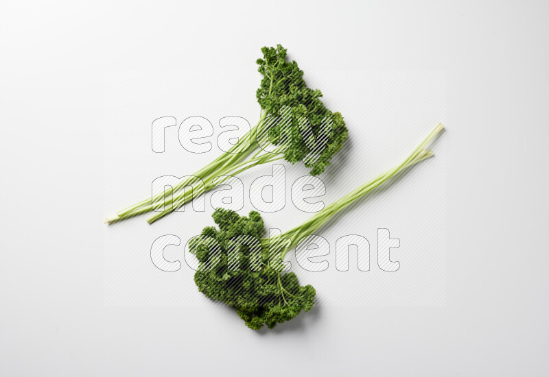 A bunch of fresh curly lettuce sprigs on a white background