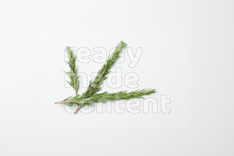 Three fresh rosemary sprigs on white background