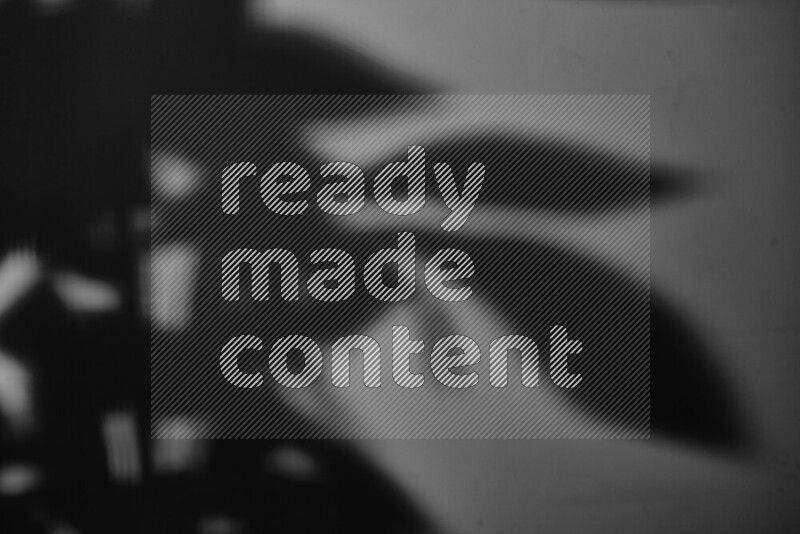 يظهر ضوء غوبو خافت ظلال أوراق نبات تسقط على سطح ناعم