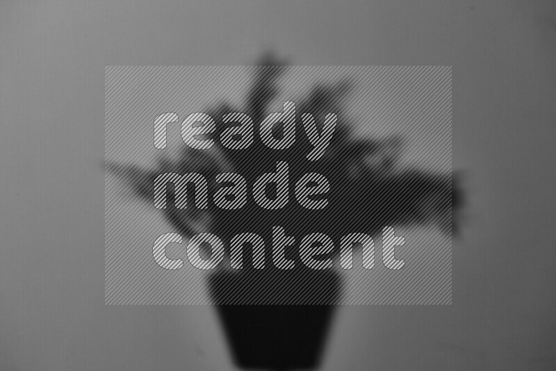 يظهر ضوء غوبو خافت ظلال أوراق نبات تسقط على سطح ناعم