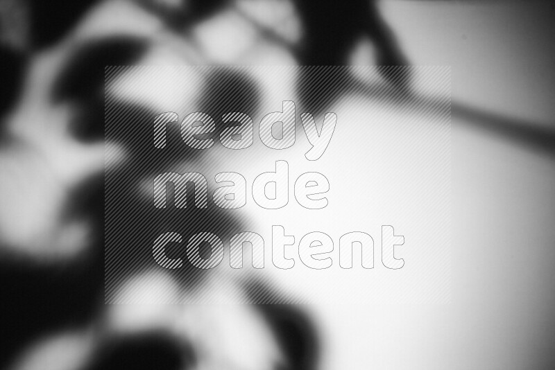 يظهر ضوء غوبو خافت ظلال أوراق نبات تسقط على سطح ناعم