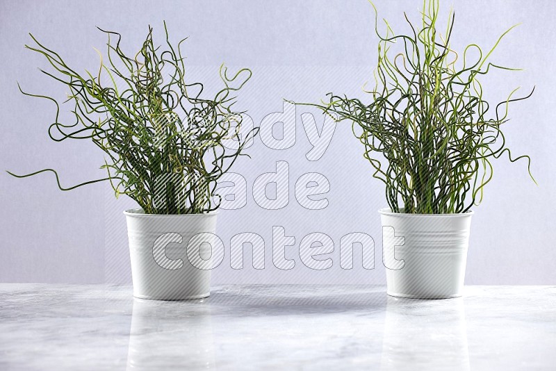 Two Artificial Plants in White Pot on Light Grey Marble Flooring 15 degree angle