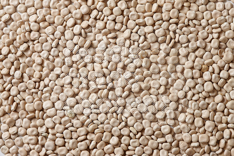 Lupin Beans on white background