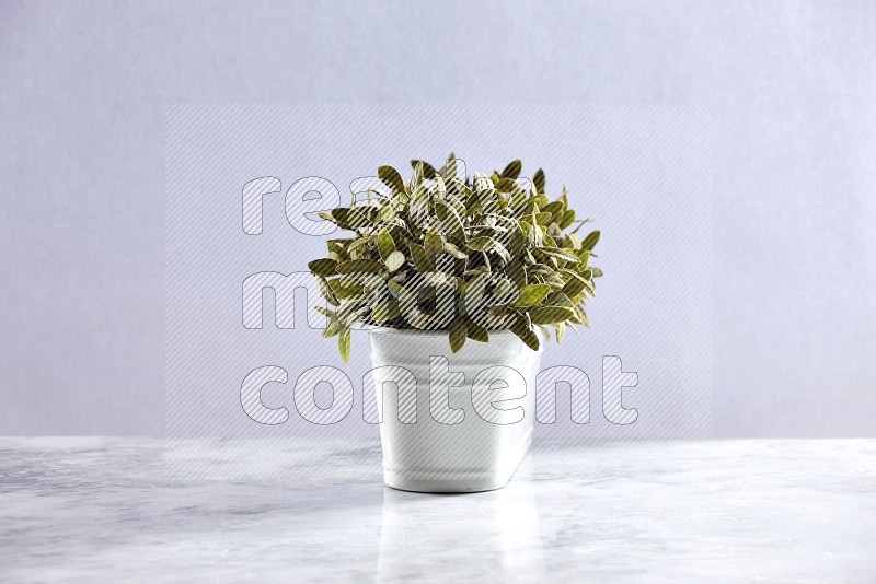 Multiable Artificial Plants in White Pot on Light Grey Marble Flooring 15 degree angle