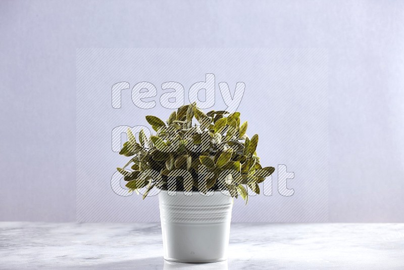 Artificial Plant in White pot on Light Grey Marble Flooring 15 degree angle