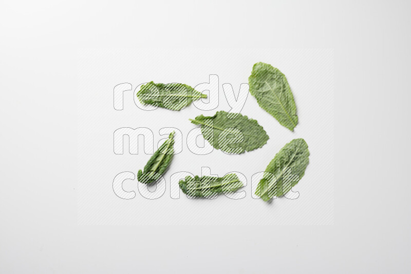 An array of kale leaves spread out on a white background