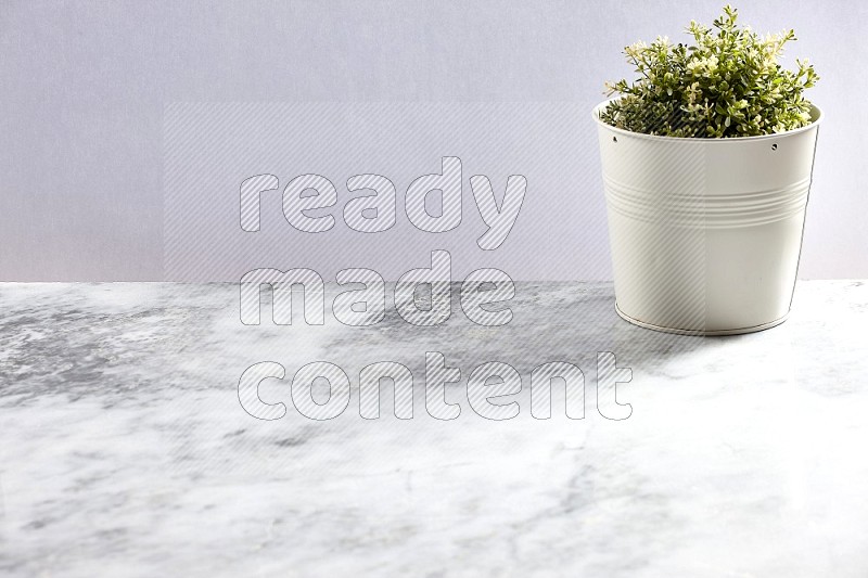 Artificial Thyme Plant in White pot on Light Grey Marble Background 45 degree angle