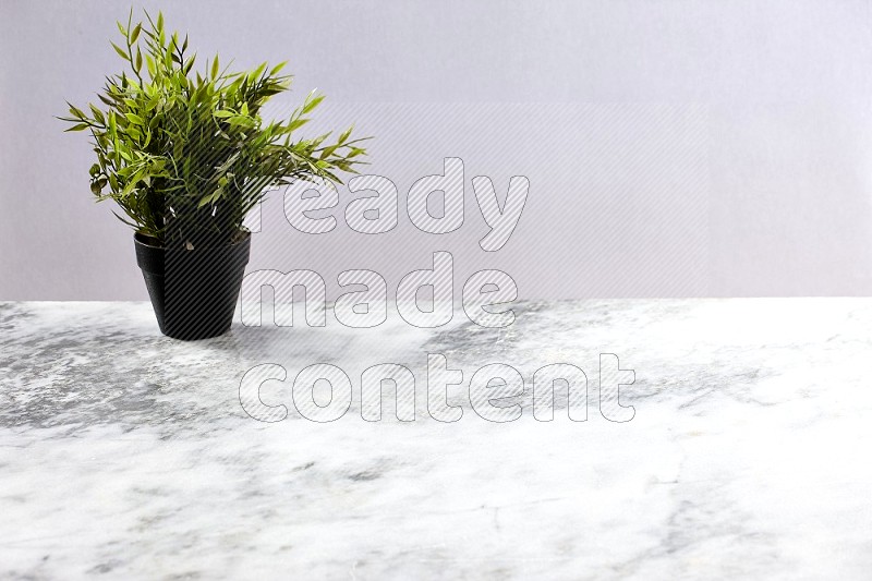 Artificial Plant in black pot on Light Grey Marble Background 45 degree angle