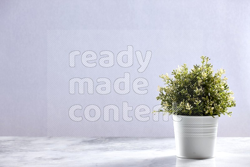 Artificial Thyme Plant in White pot on Light Grey Marble Flooring 15 degree angle