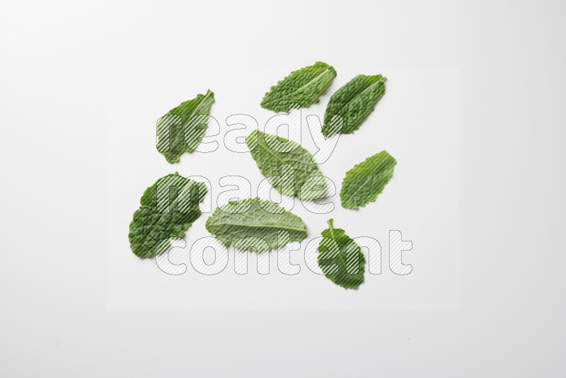 An array of kale leaves spread out on a white background