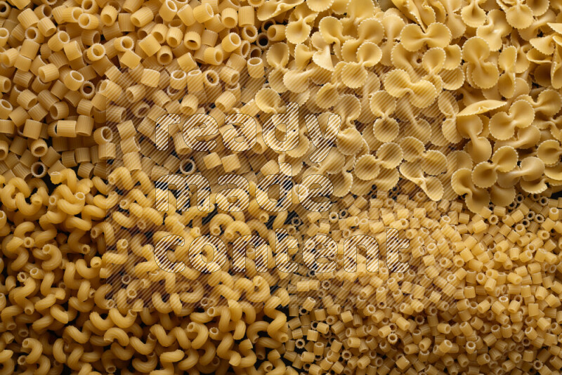 4 types of pasta filling the frame
